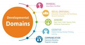 Developmental Domains