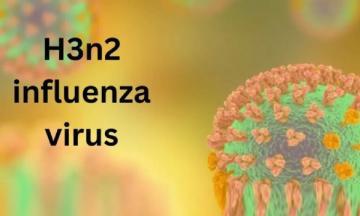 Influenza A subtype H3N2 Virus