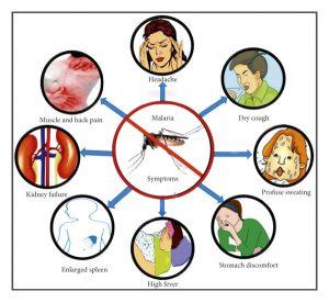 Common symptoms of Malaria