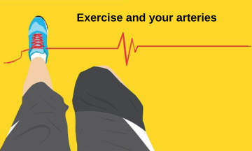 Exercise and your arteries