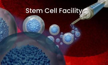 Stem Cell Facility