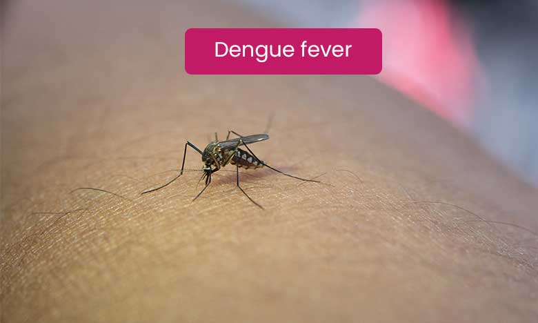 Dengue fever - M S Ramaiah Memorial Hospital